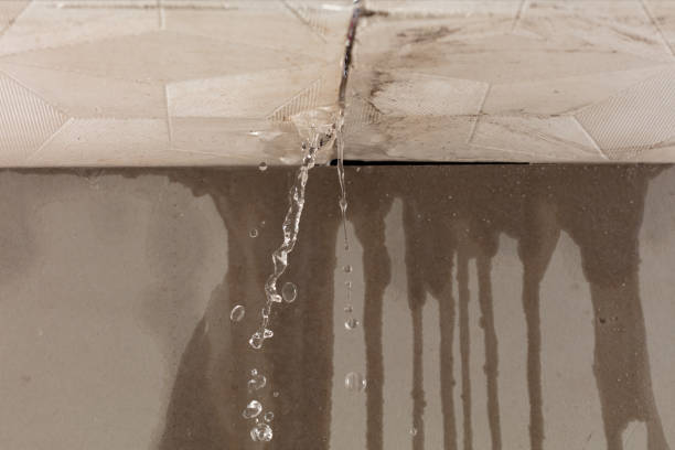 Professional Structural Drying technician working in Brielle, NJ